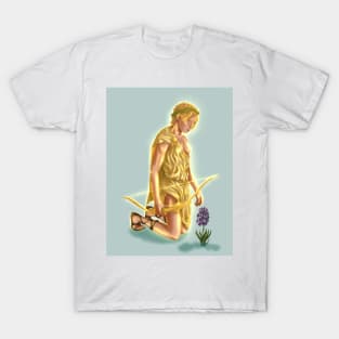 Apollo and Hyacinth T-Shirt